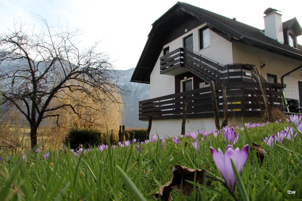 בובק Apartments Tatjana מראה חיצוני תמונה
