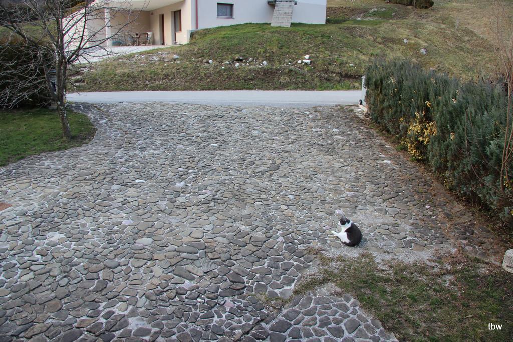 בובק Apartments Tatjana מראה חיצוני תמונה